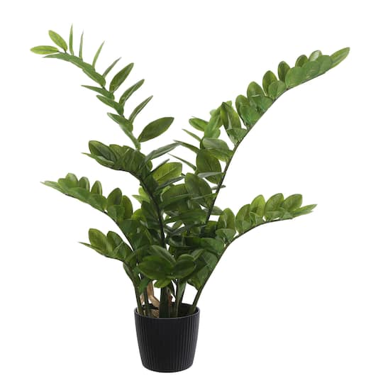 2ft. Potted Green Zamifolia Bush